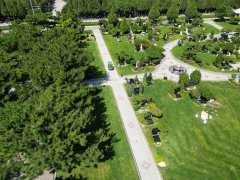 碑雕设计：镌刻历史，传承人文