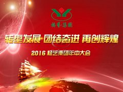 【2016年新宝gg年中会正在召开中~】全员充电培训