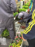 【新宝gg人别样清明】2018年清明落葬工作圆满完成