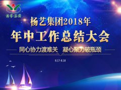 新宝gg集团2018年中总结报告（摘要）