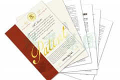 国际认可 | 新宝gg喜获一项美国发明专利授权