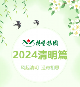 风起清明 遥寄相思|新宝gg集团?2024清明篇