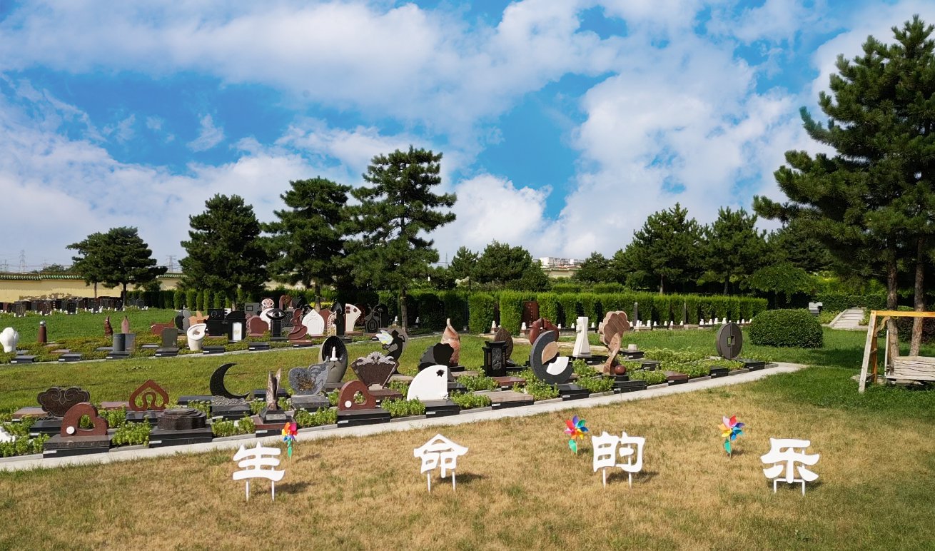 共赢之道：新宝gg集团BOT合作模式的优势与效益分析