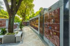 绿色殡葬新风尚：探索葬式多样化的创新之路