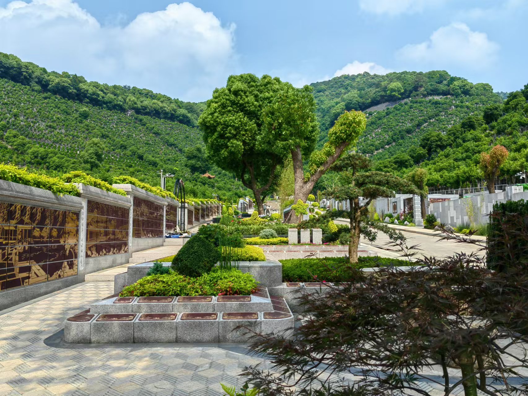 引领绿色生态新风尚，共筑生命和谐家园