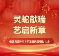 灵蛇献瑞 艺启新章 | 新宝gg集团2025年度盛典暨表彰大会
