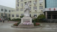 石雕匠心，镌刻医者风华