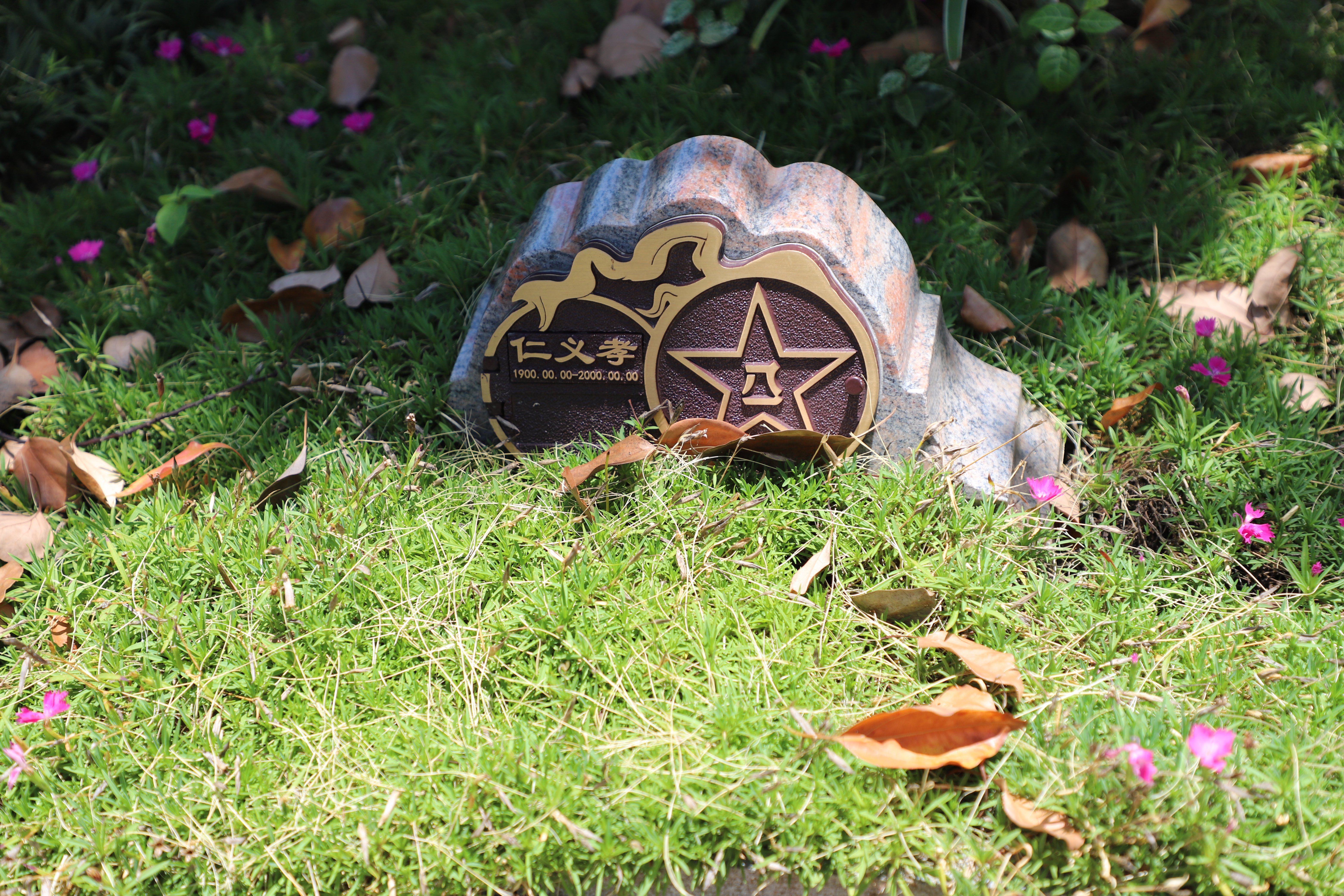 尘归尘，土归土：当生命终与自然相融